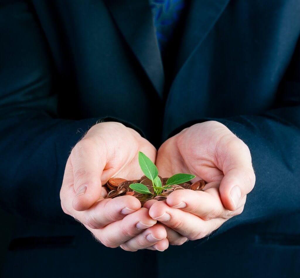 Business man holding seedling in his hands